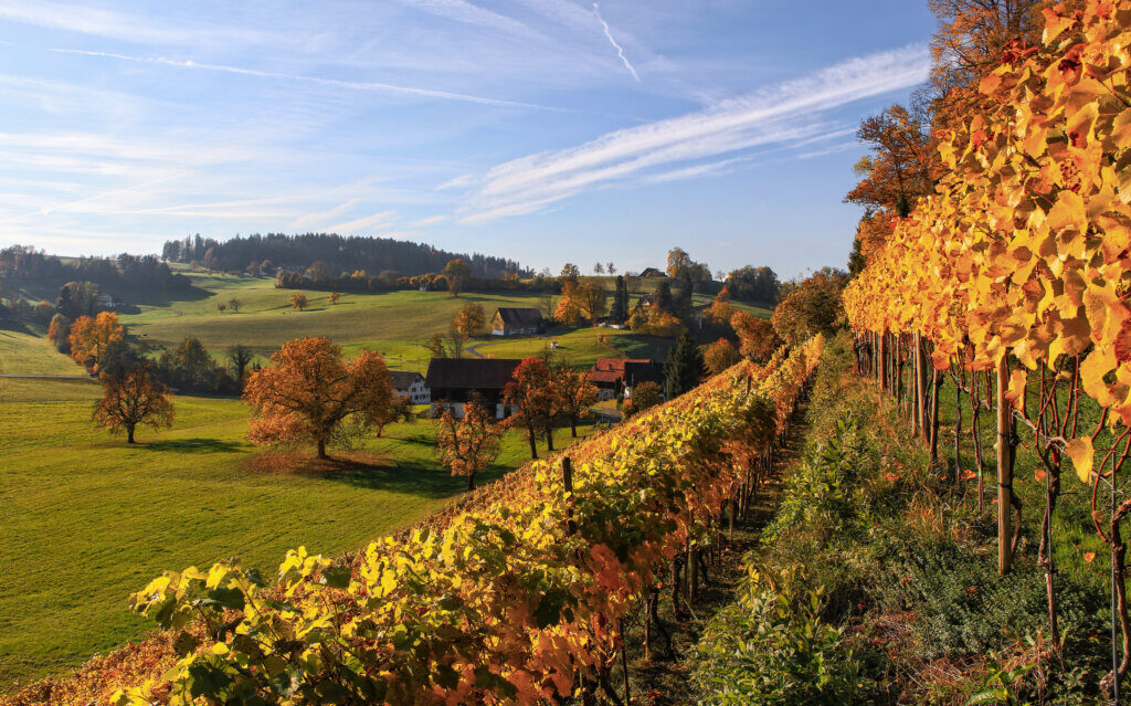 Autunno nei borghi toscani: cinque gioielli da non perdere